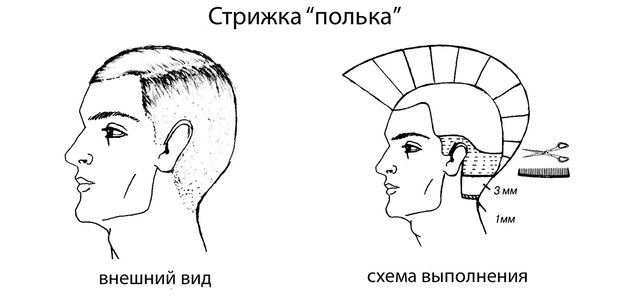 Стрижка 12 Мм Фото